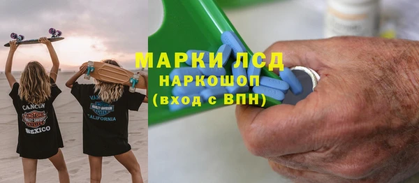 трава Коряжма