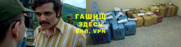 трава Коряжма