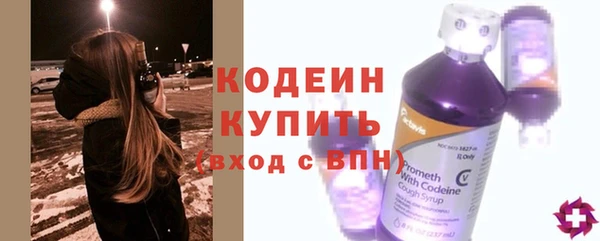 трава Коряжма