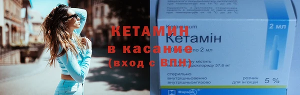 трава Коряжма