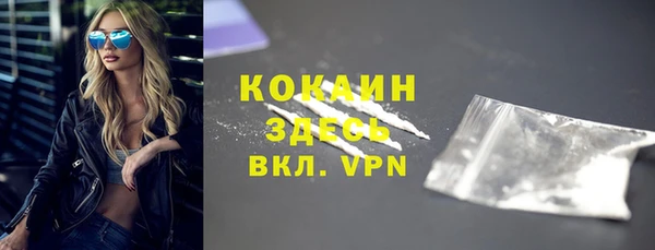 трава Коряжма
