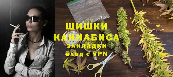 трава Коряжма