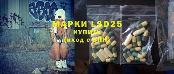 трава Коряжма