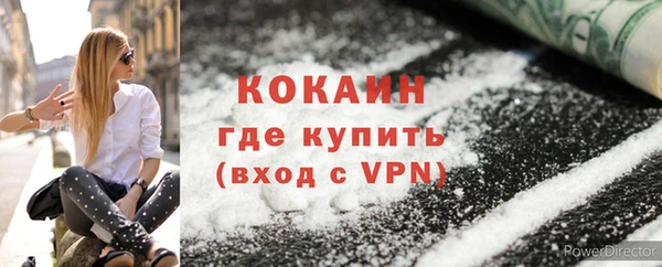 трава Коряжма