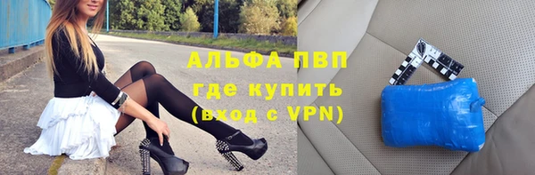 трава Коряжма