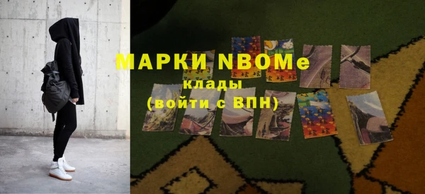 трава Коряжма