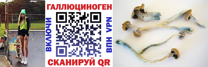 Псилоцибиновые грибы MAGIC MUSHROOMS  Купить  Динская 